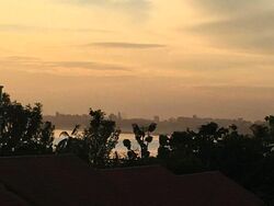 Pasir Ris Link (D18), Condominium #503903621